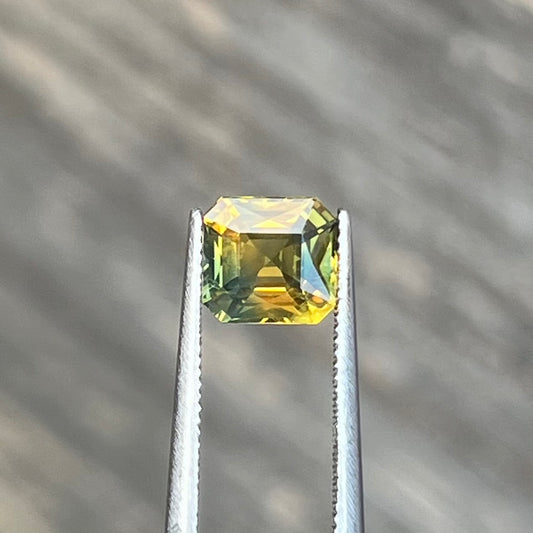 1.52ct Green & Yellow Bi-colour Sapphire