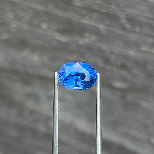1.57ct Cornflower Blue Sapphire - 7.53 x 5.64 x 4.51mm