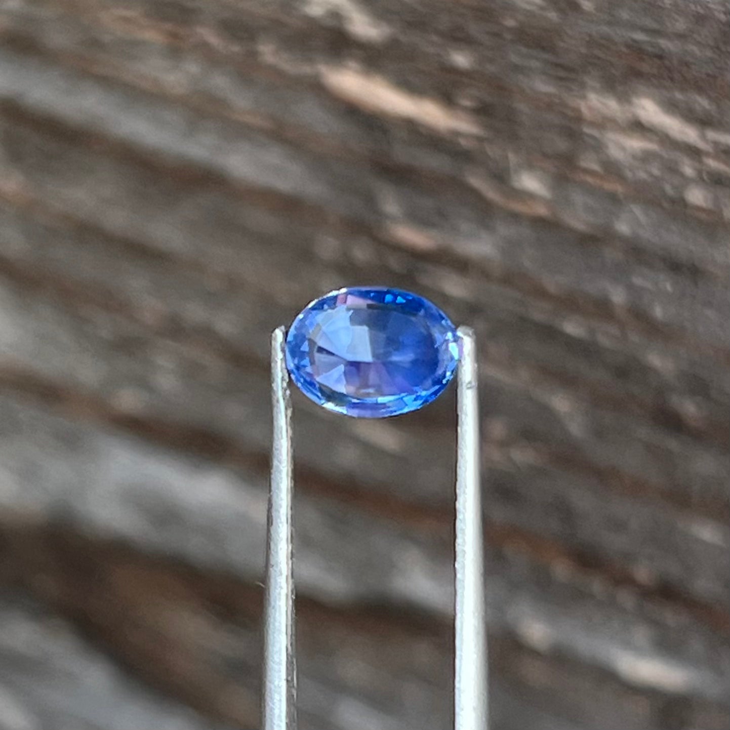 1.24ct Cornflower Blue Sapphire - 7.02 x 5.21 x 3.61mm
