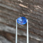 1.24ct Cornflower Blue Sapphire - 7.02 x 5.21 x 3.61mm