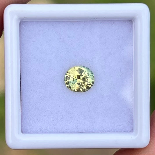 1.04ct Green & Yellow Bi Colour Sapphire