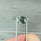 1.55ct Unheated Green Sapphire - 6.50 x 5.32 x 4.42mm