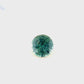 1.21ct Unheated Teal Sapphire - 6.46 x 4.43mm
